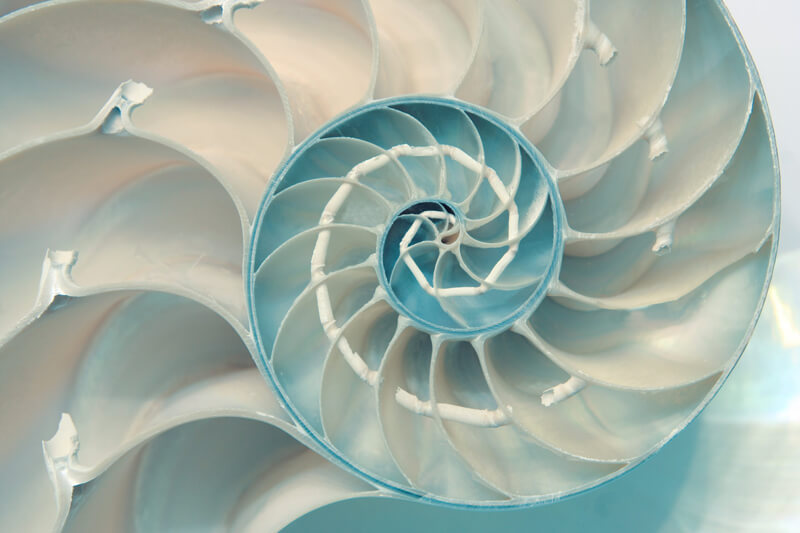 Golden Spiral vibrational remedy is made from light passed