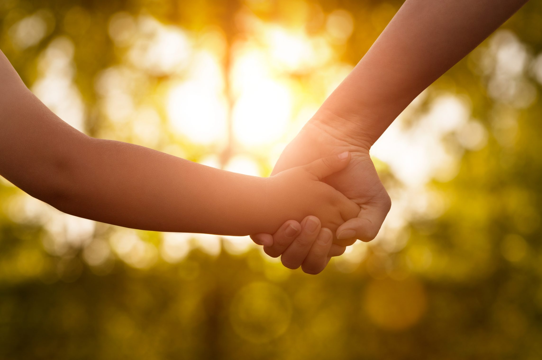 Holding hands with child in sunshine