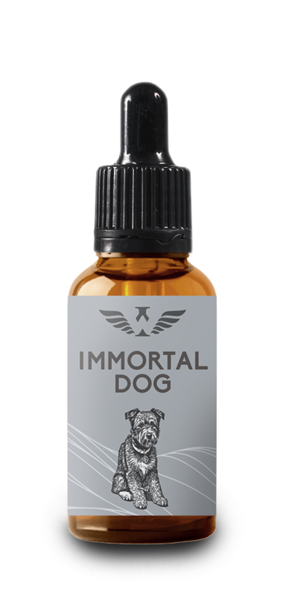 pet-dog