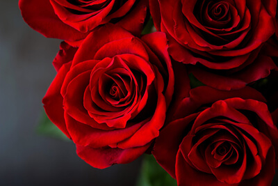 Rose has a high vibrational frequency and can be used for protection and cleansing