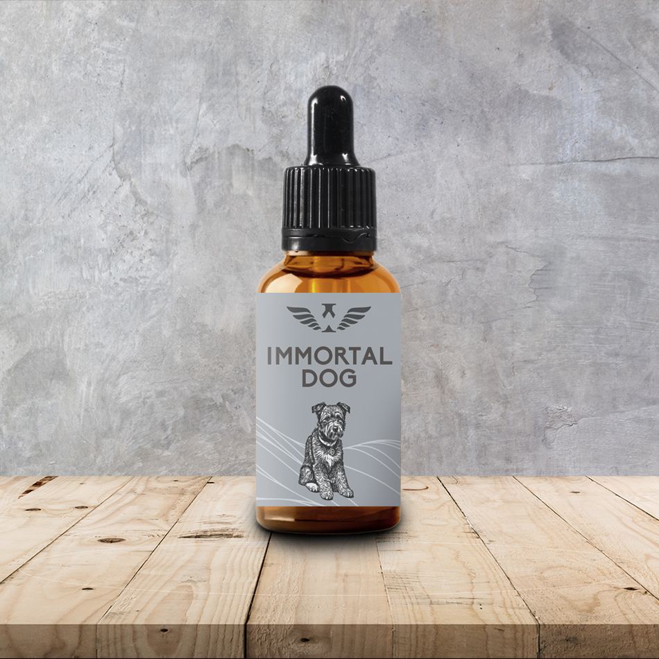 Rose has a high vibrational frequency and can be used for protection and cleansing